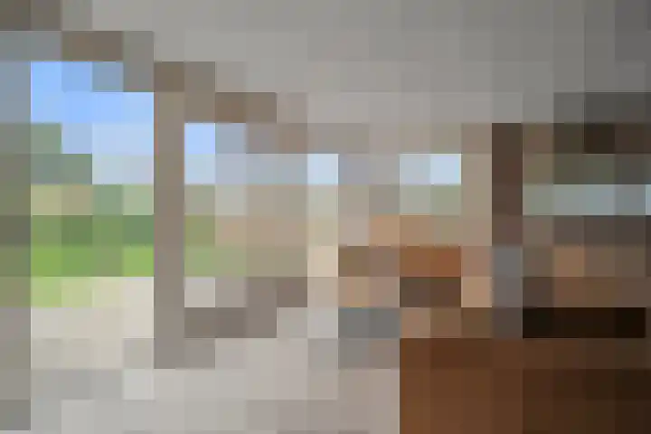 Oudedijk 1 h27 Schagen thumbnail 11