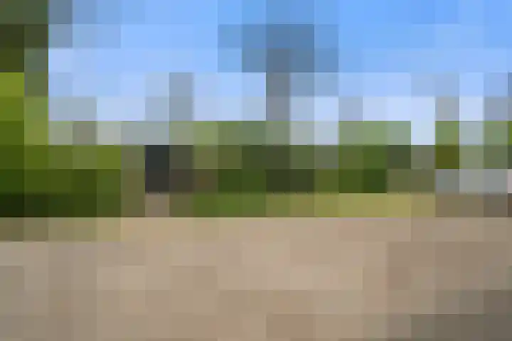 Oudedijk 1 h27 Schagen thumbnail 26