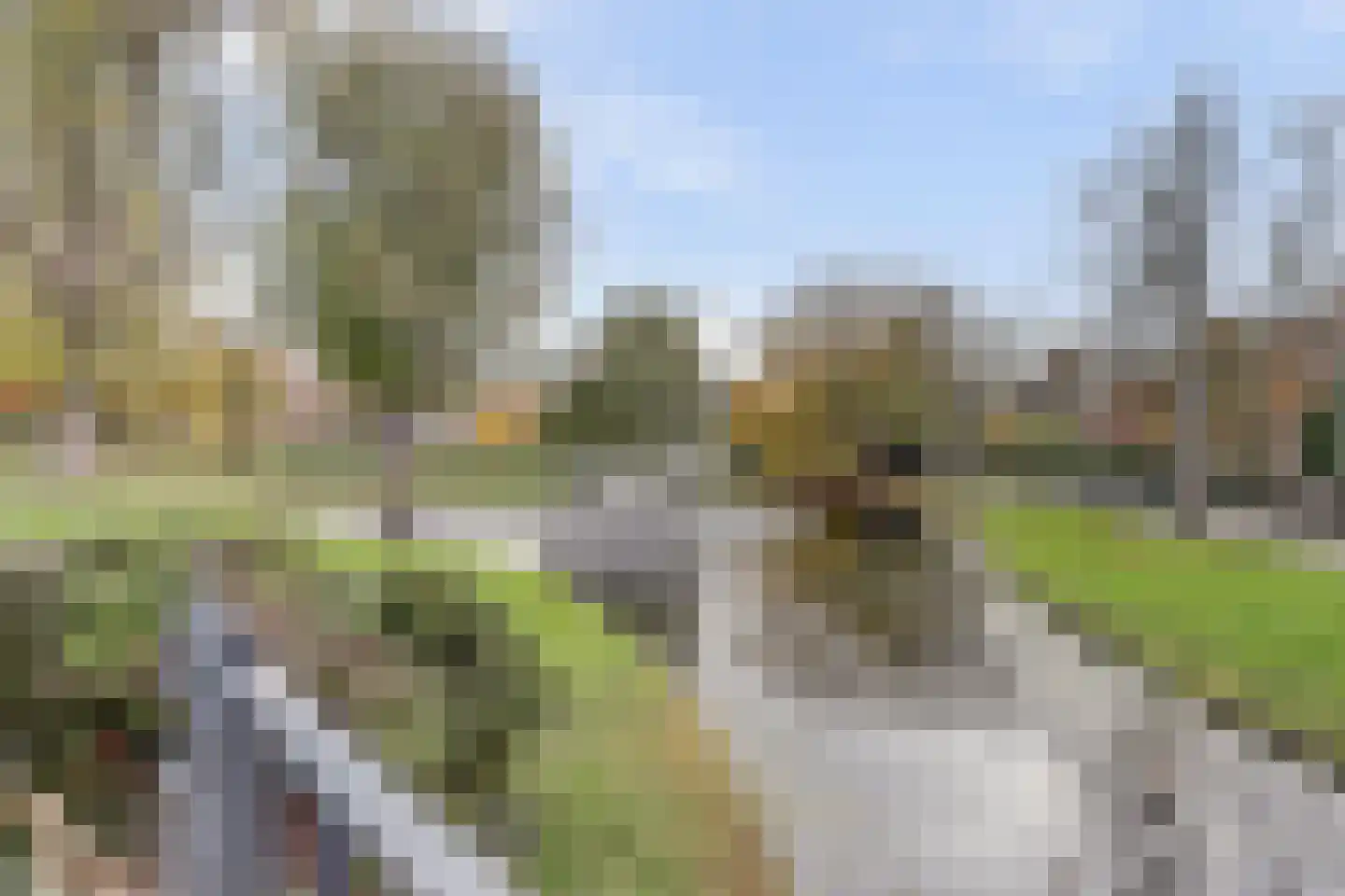 Oudedijk 139 B Rotterdam thumbnail 18