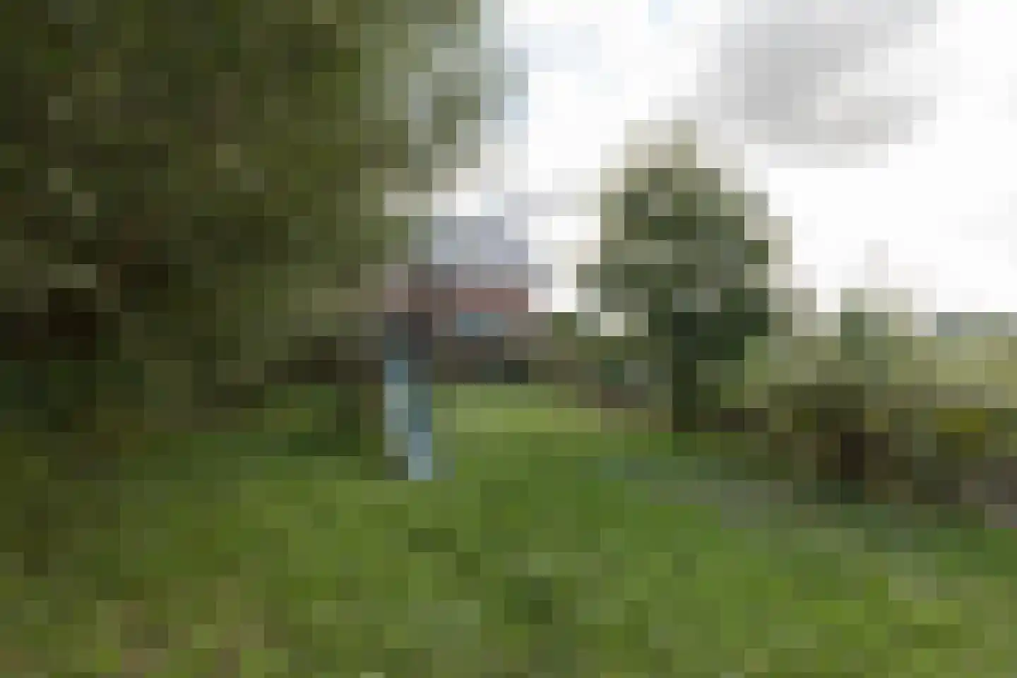 Oudedijk 15 Drieborg thumbnail 34