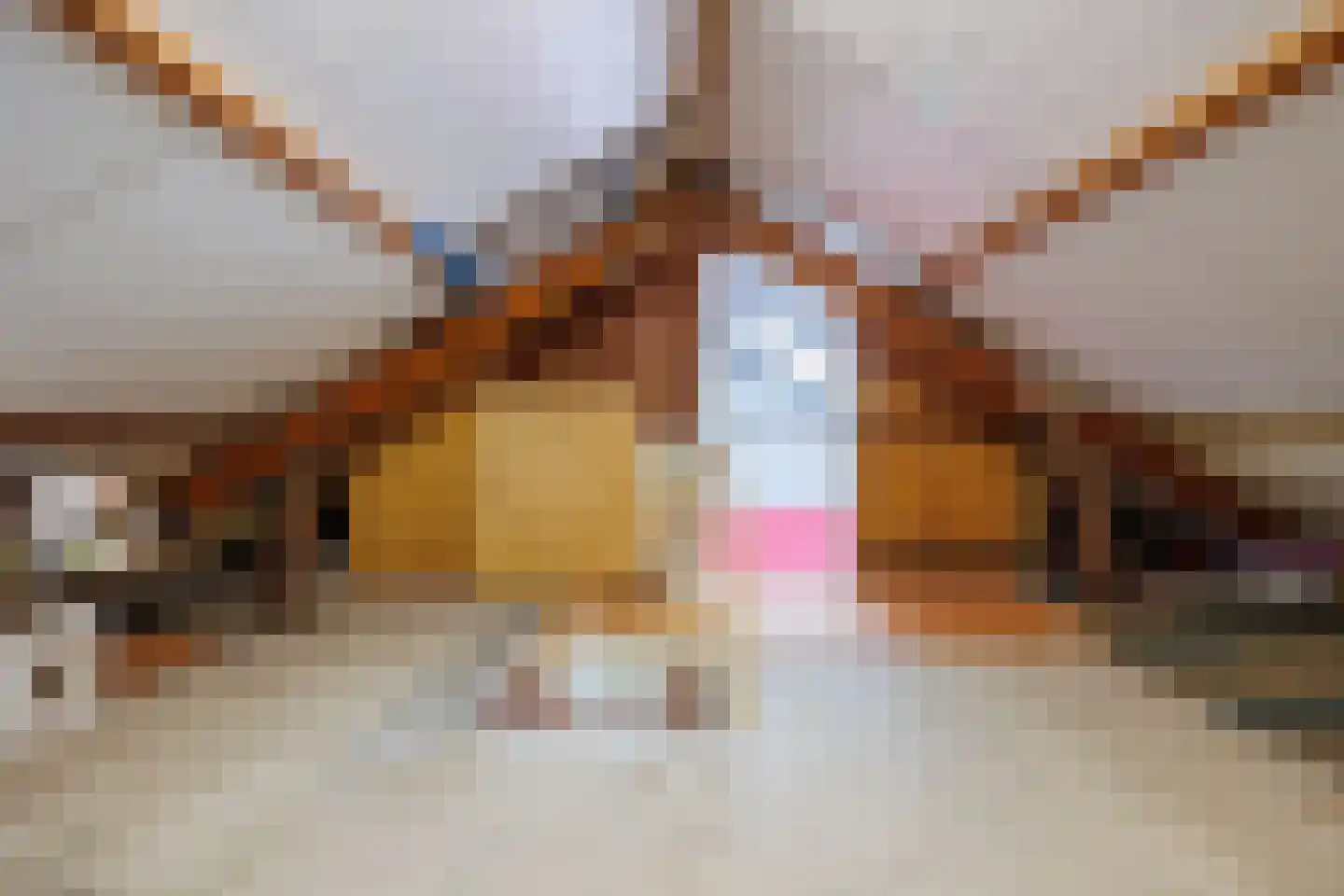 Oudedijk 15 Odiliapeel thumbnail 30