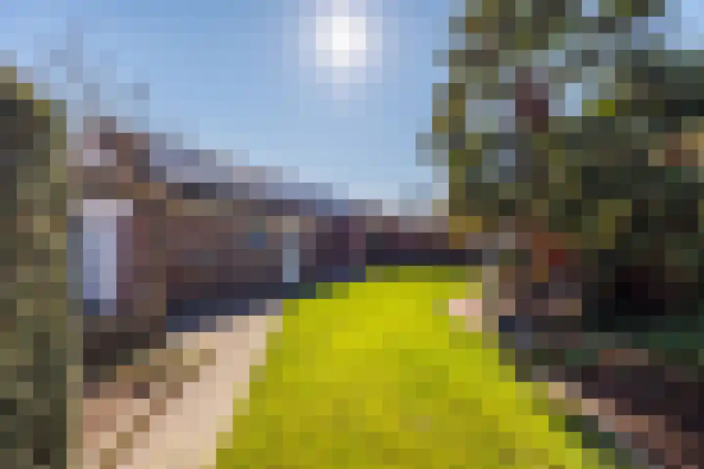 Oudedijk 15 Odiliapeel thumbnail 34