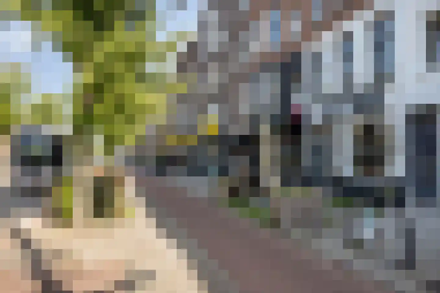 Oudedijk 155 A 03 Rotterdam thumbnail 18