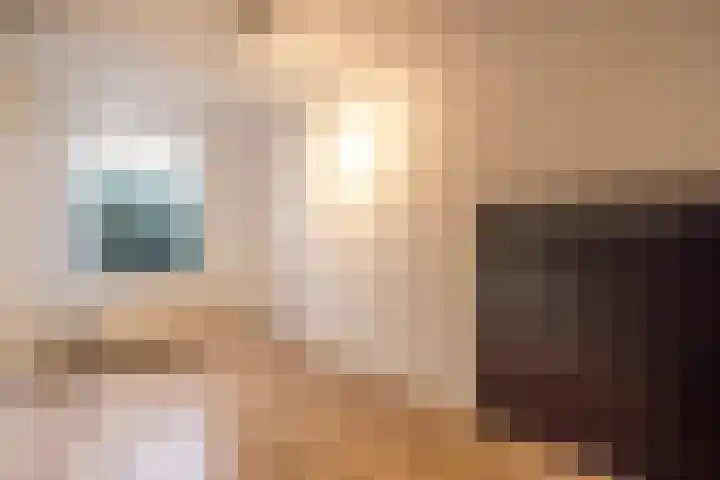 Oudedijk 177 B Rotterdam thumbnail 25