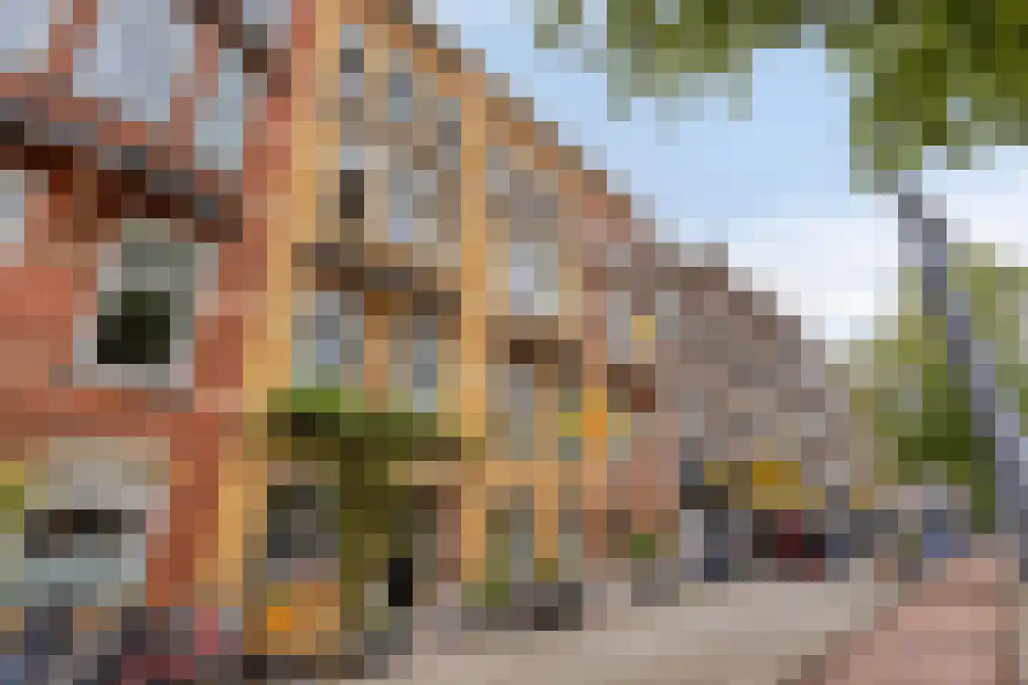 Oudedijk 179 B Rotterdam thumbnail 30