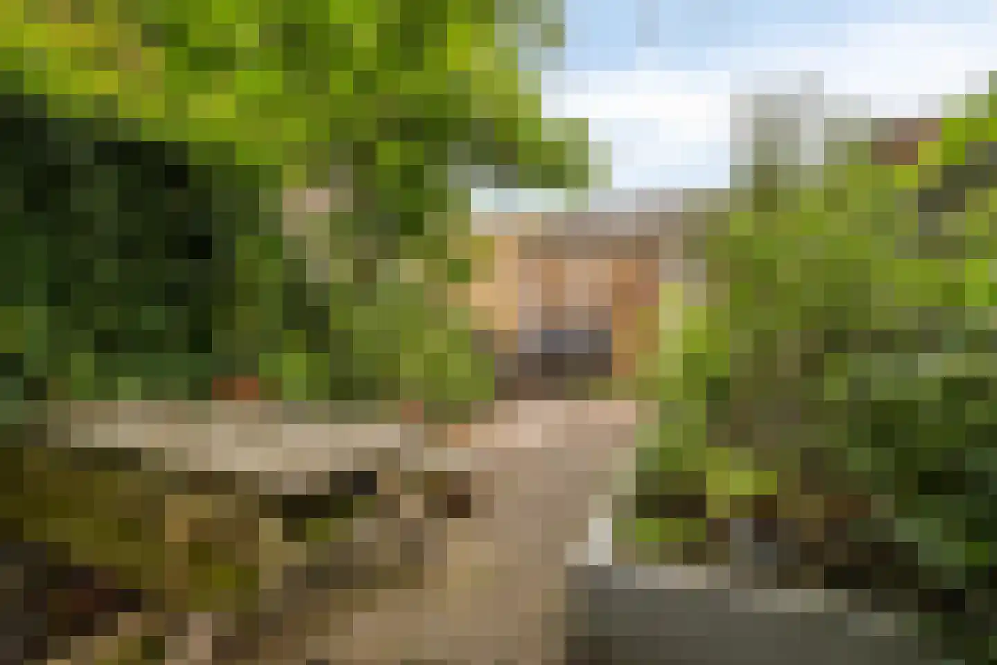 Oudedijk 179 B Rotterdam thumbnail 5