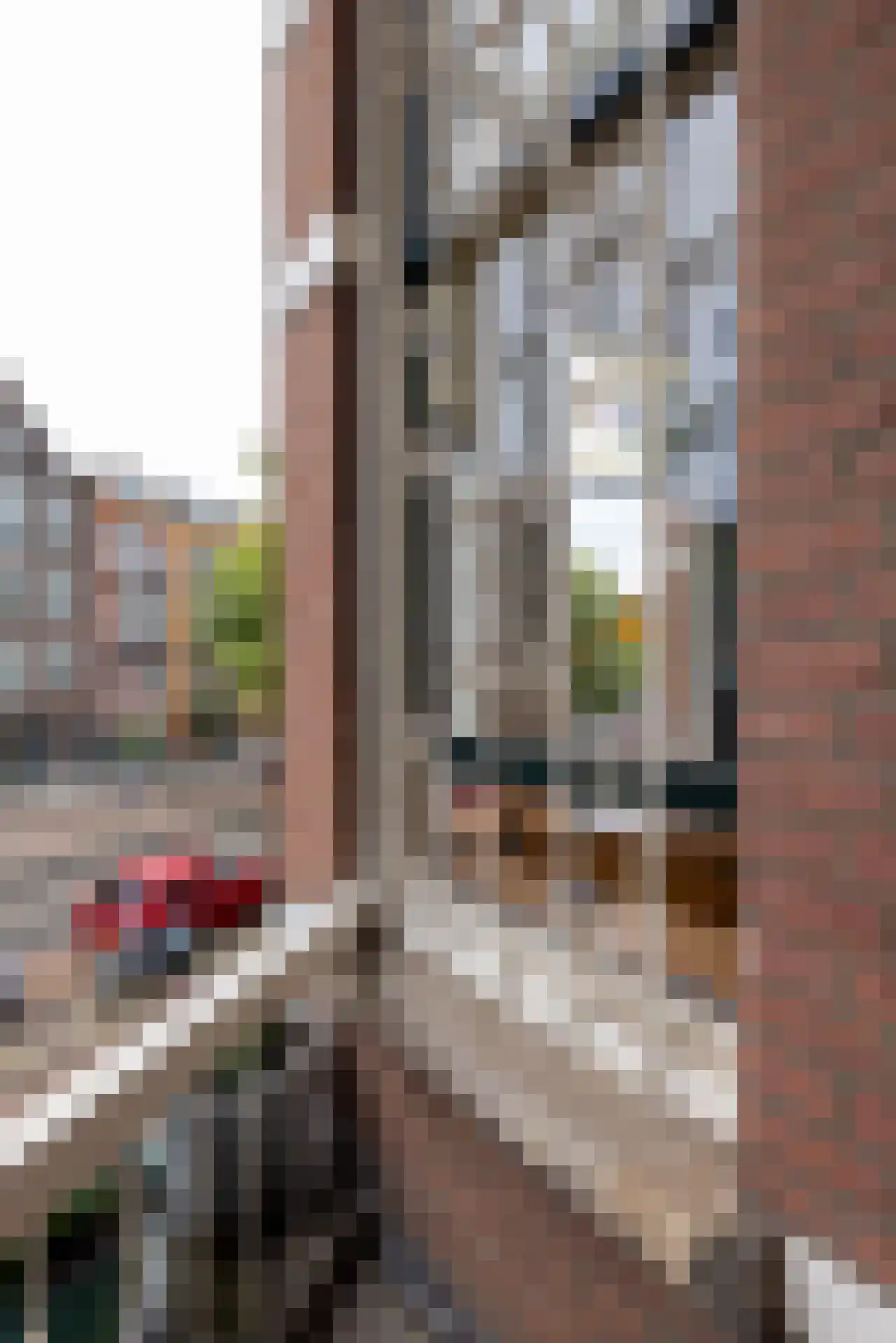 Oudedijk 182 B 01 Rotterdam thumbnail 9