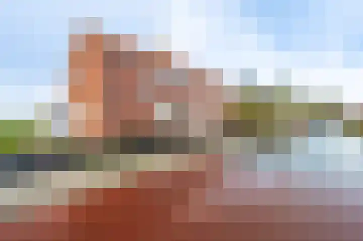 Oudedijk 23 Drieborg thumbnail 51