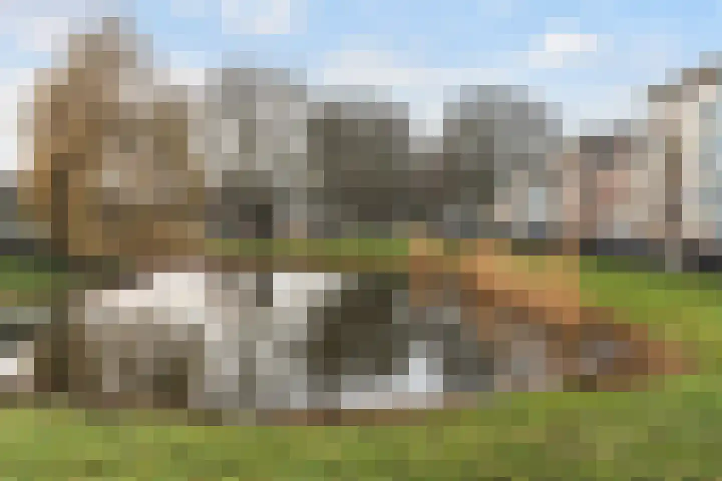 Oudedijk 265 D Rotterdam thumbnail 58