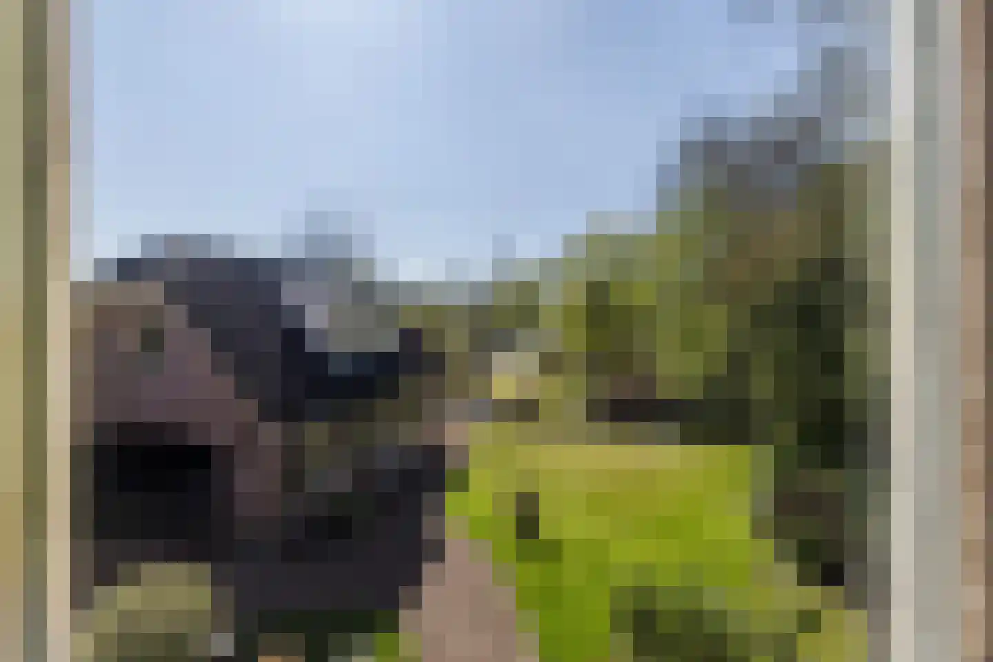 Oudedijk 42 Tienhoven thumbnail 22