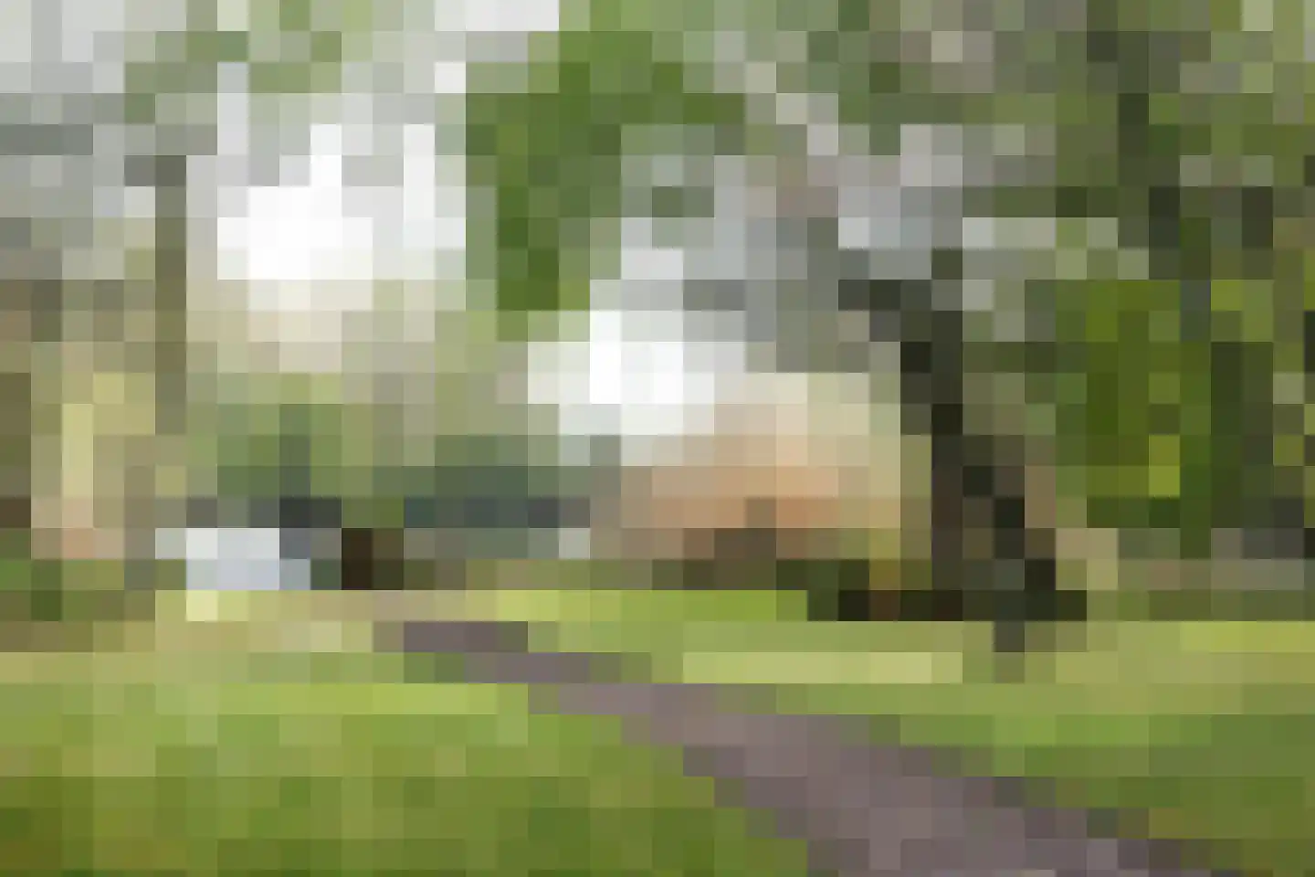 Oudedijk 42 Tienhoven thumbnail 24