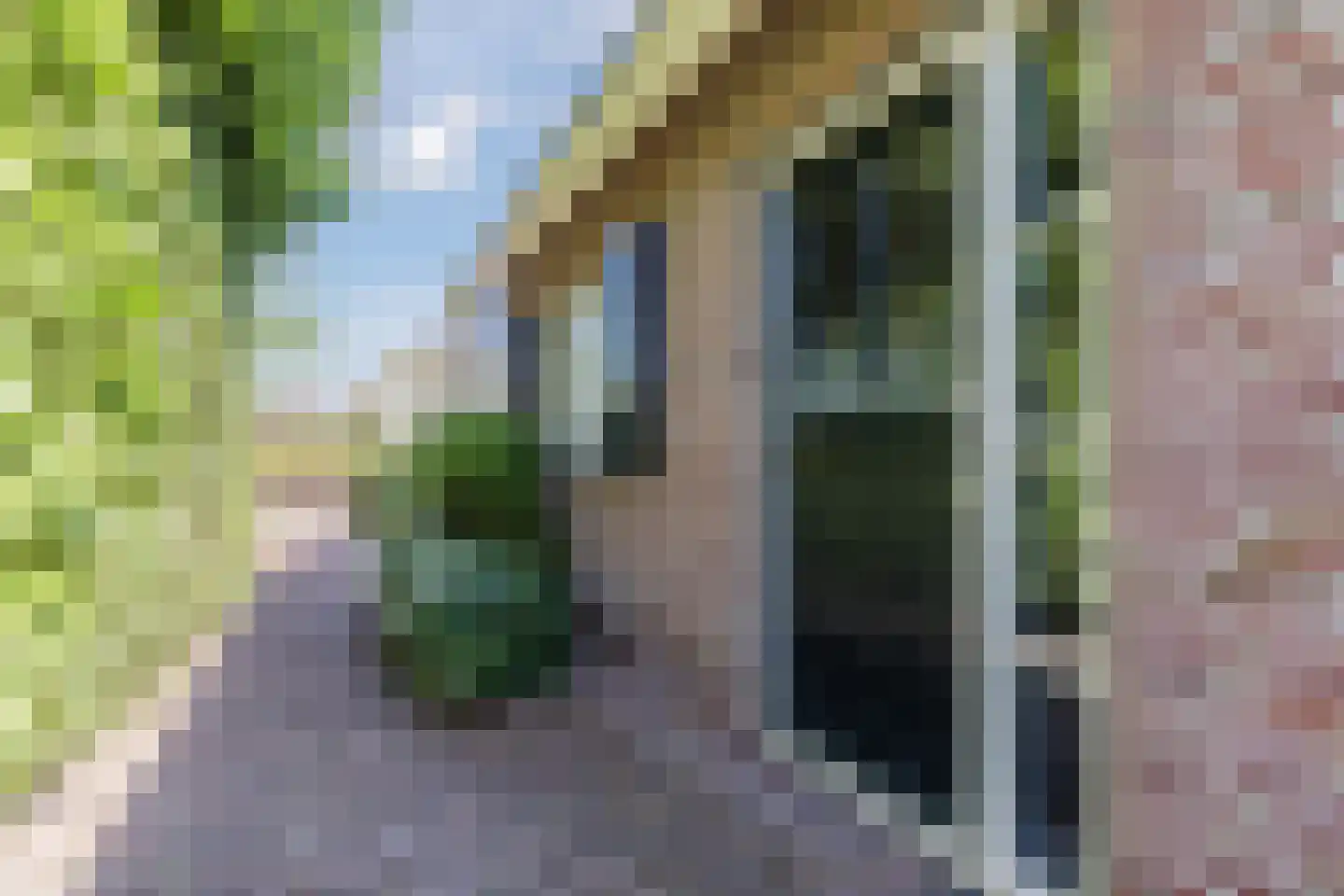 Oudedijk 42 Tienhoven thumbnail 27