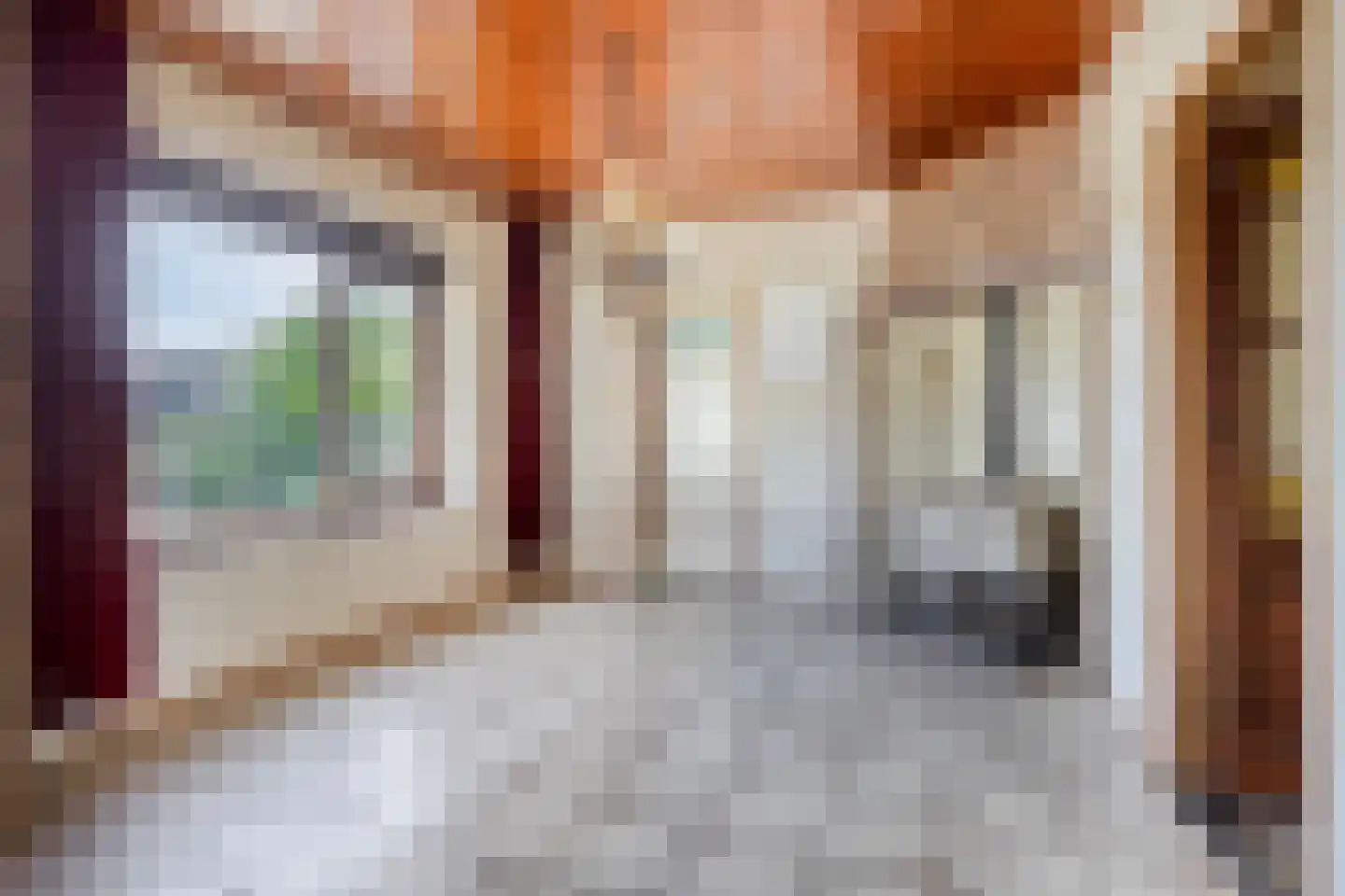 Oudedijk 5 Odiliapeel thumbnail 13