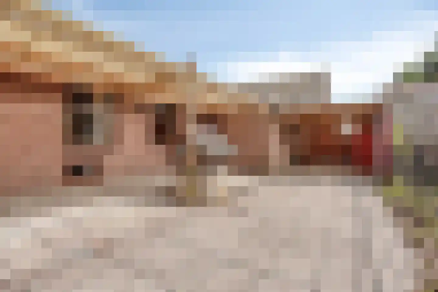 Oudedijk 5 Odiliapeel thumbnail 33