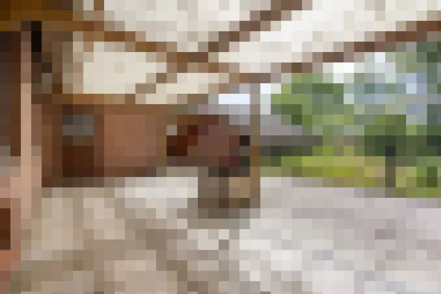 Oudedijk 5 Odiliapeel thumbnail 4