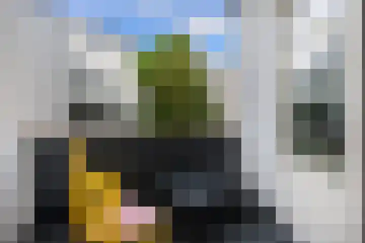 Oudedijk 508 Rotterdam thumbnail 18