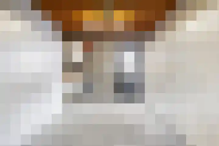 Oudedijk 64 Odiliapeel thumbnail 16