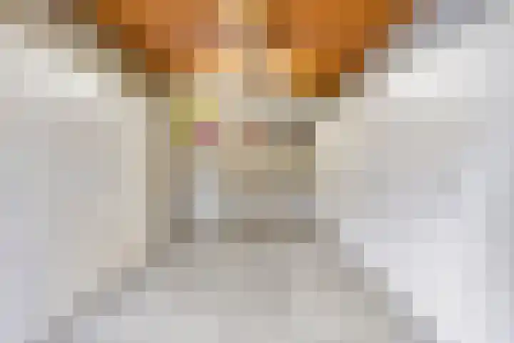 Oudedijk 64 Odiliapeel thumbnail 17