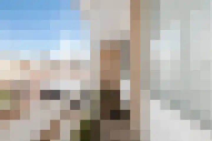 Oudedijk 64 Odiliapeel thumbnail 30