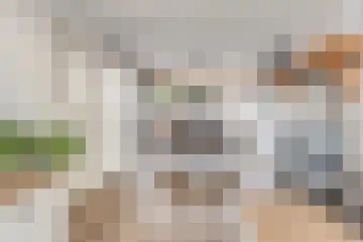Oudedijk 64 Odiliapeel thumbnail 4