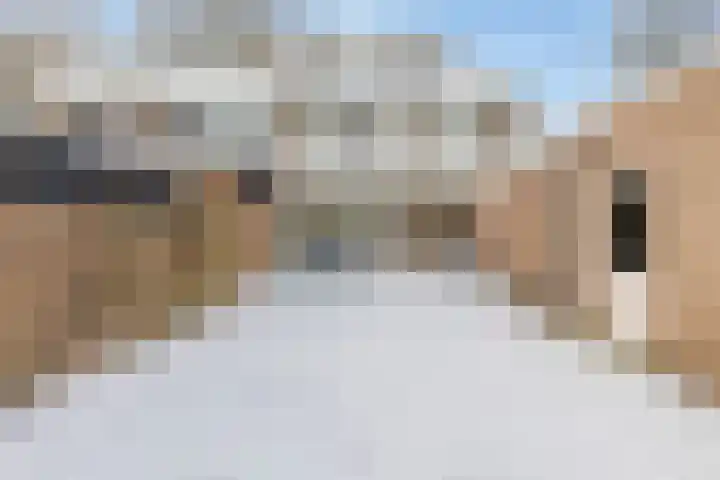 Oudedijk 64 Odiliapeel thumbnail 42