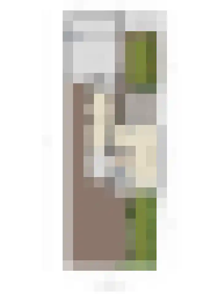 Oudedijk 64 Odiliapeel thumbnail 50
