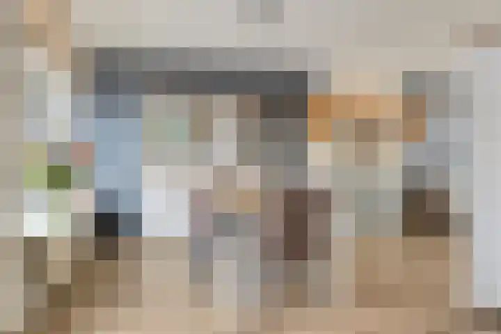 Oudedijk 64 Odiliapeel thumbnail 6