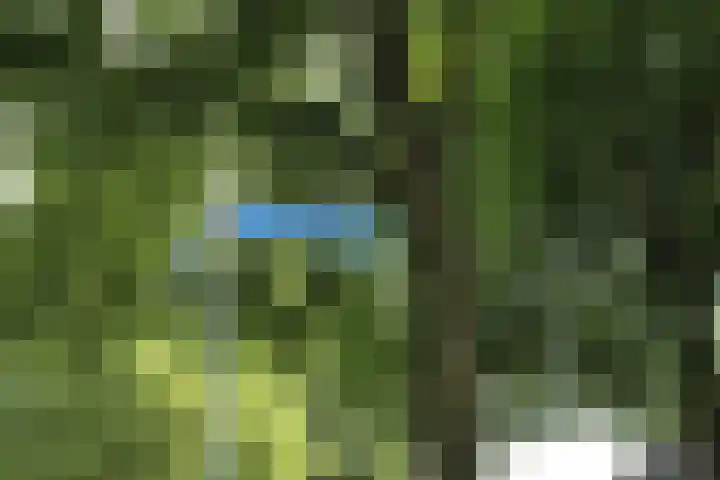 Oudedijk 69 B Odiliapeel thumbnail 4