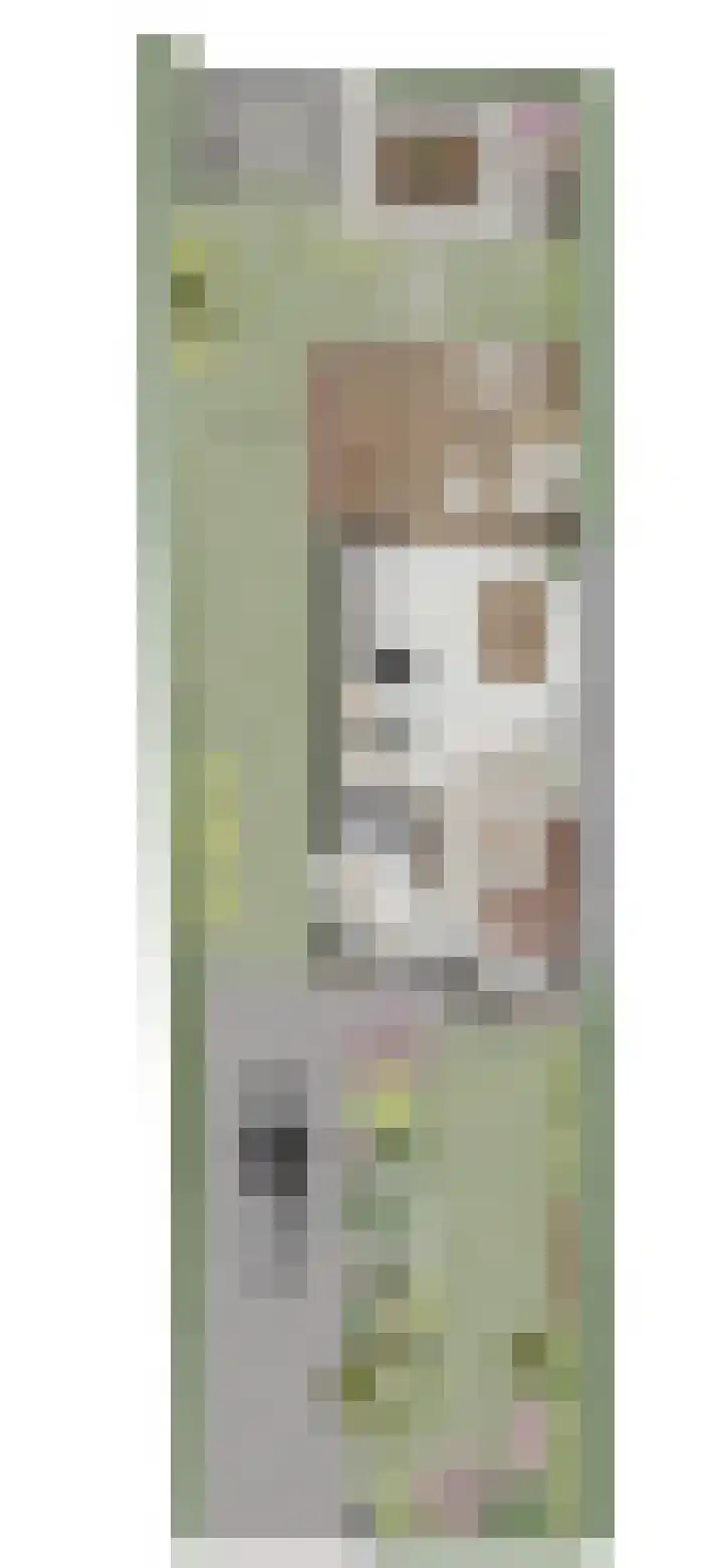 Oudedijk 69 B Odiliapeel thumbnail 7
