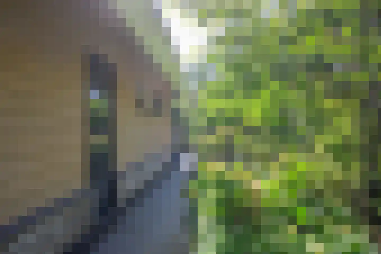 Oudedijk 8 Schagen thumbnail 11