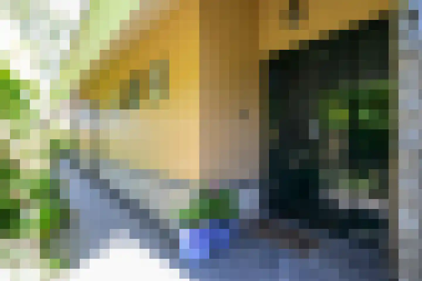 Oudedijk 8 Schagen thumbnail 12