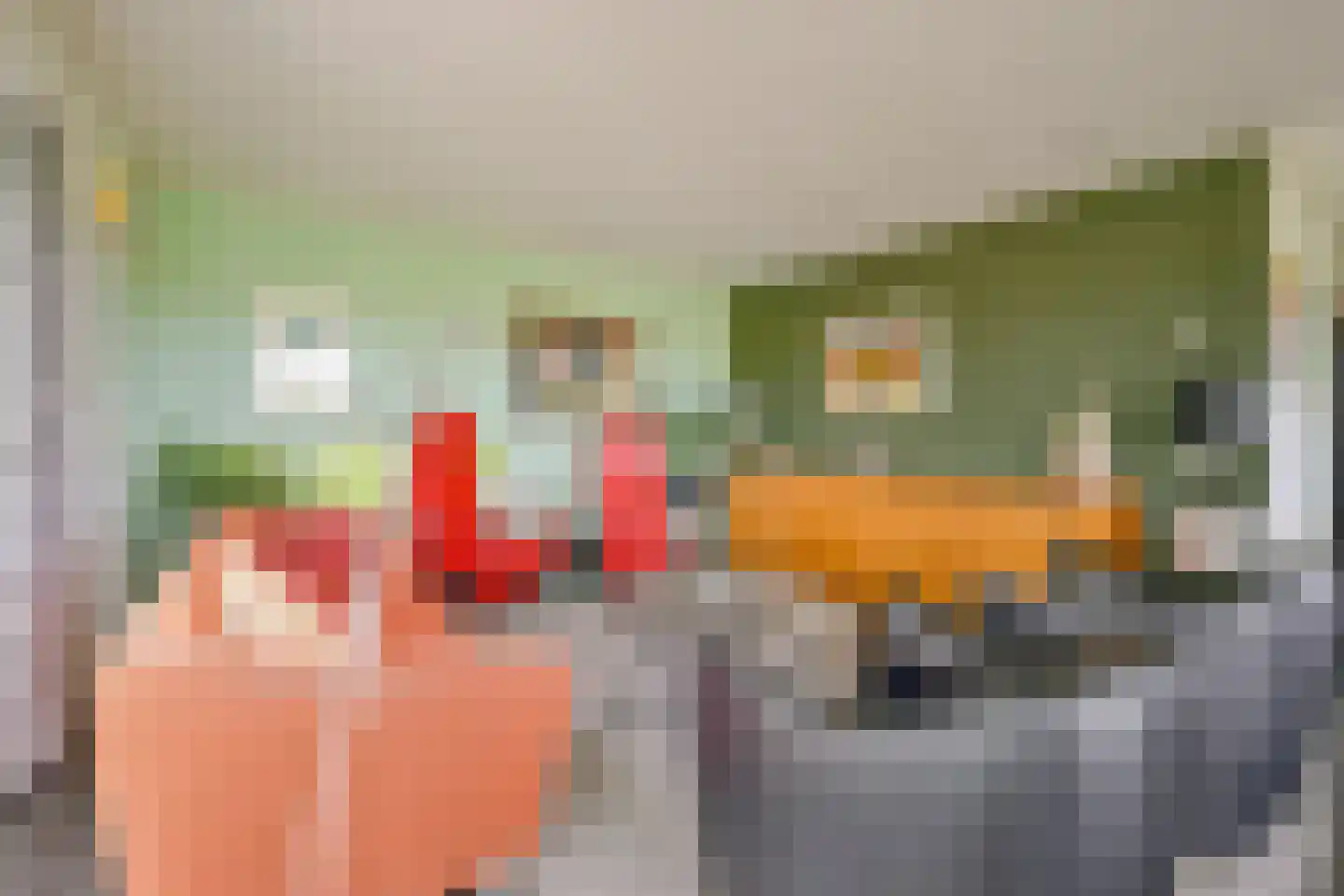 Oudedijk 8 Schagen thumbnail 14