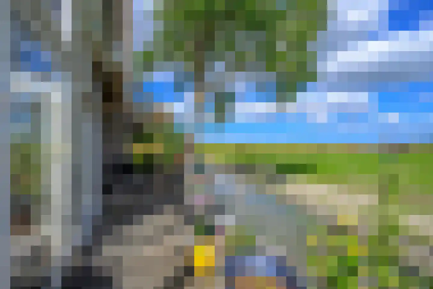 Oudedijk 8 Schagen thumbnail 18
