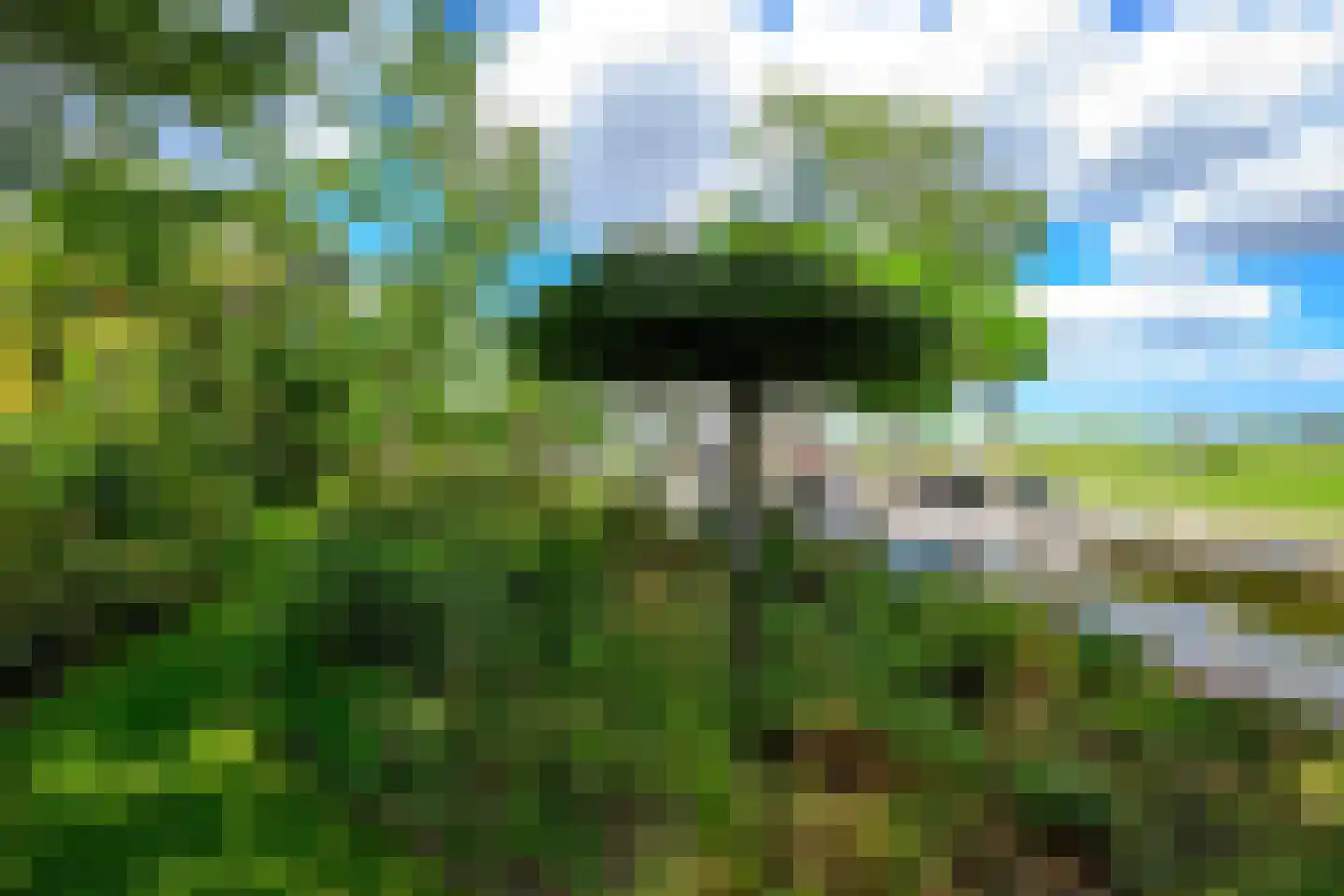 Oudedijk 8 Schagen thumbnail 23