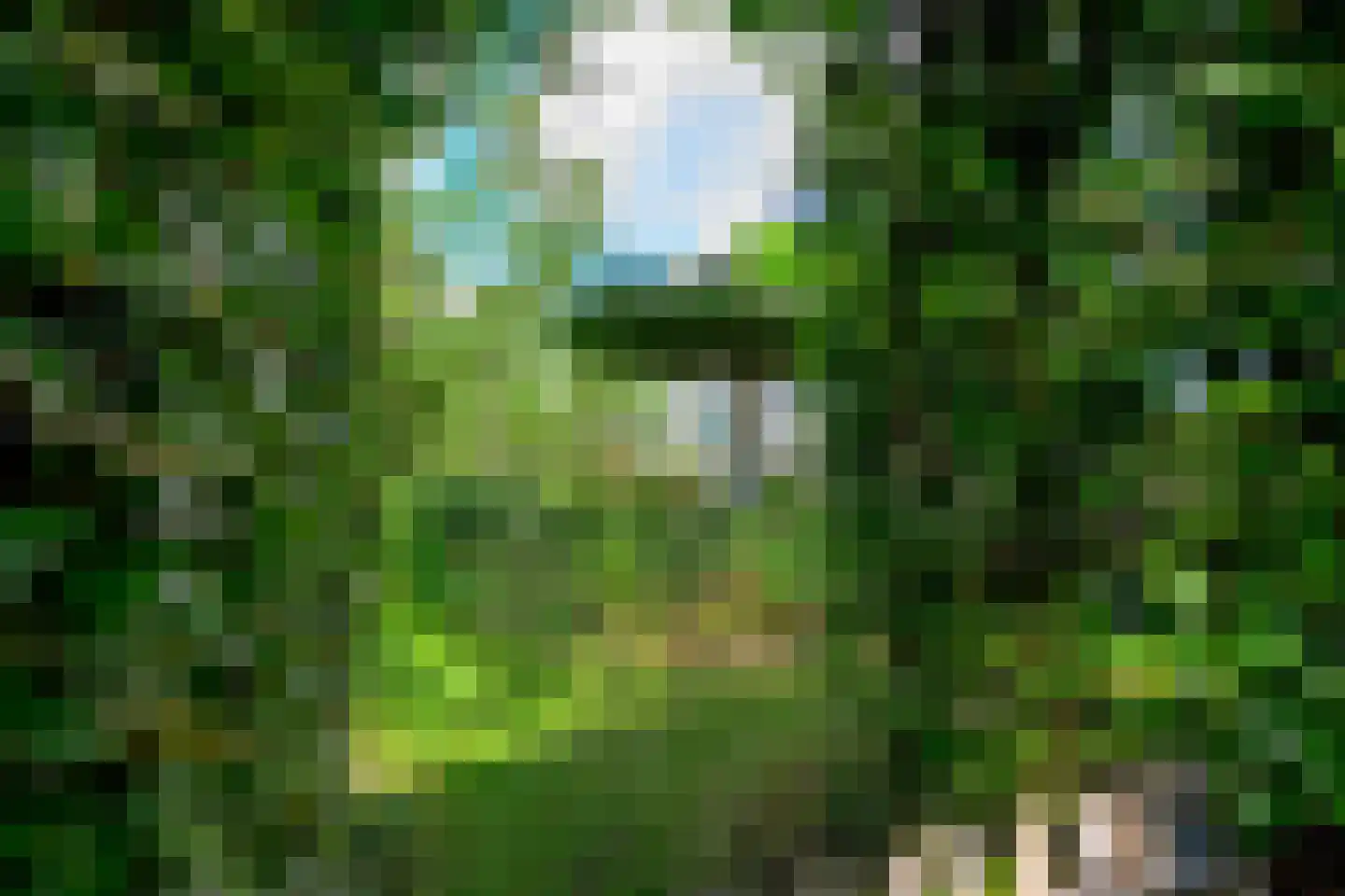 Oudedijk 8 Schagen thumbnail 24