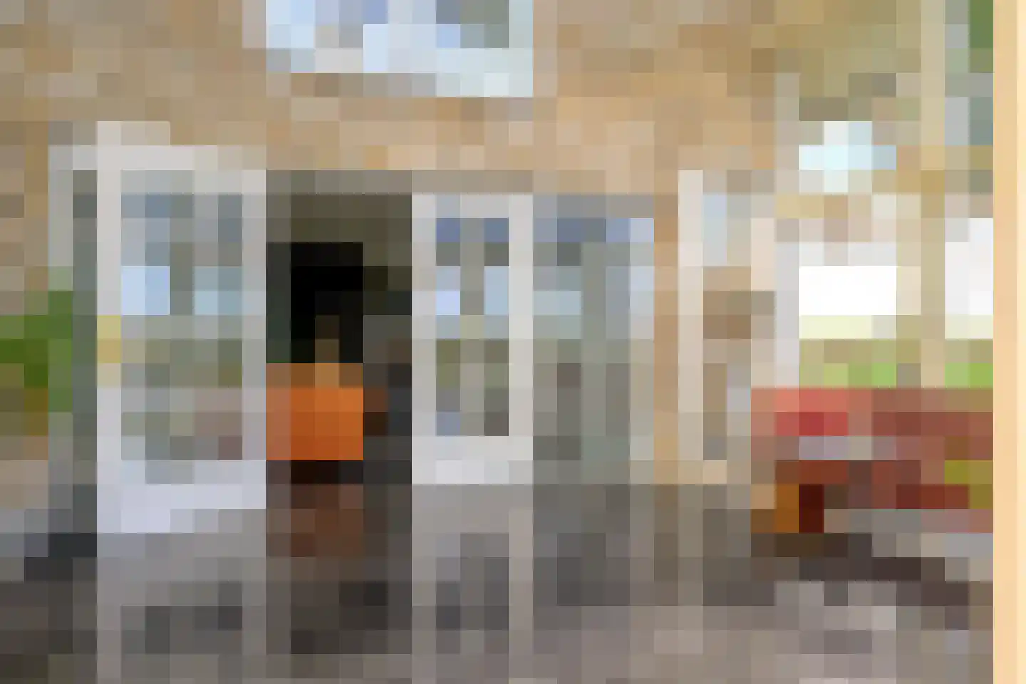 Oudedijk 8 Schagen thumbnail 29