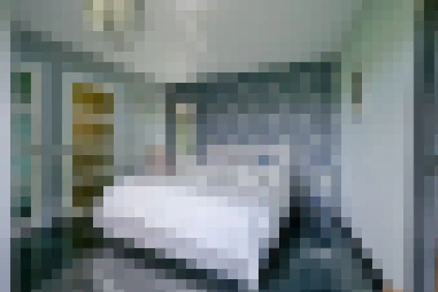 Oudedijk 8 Schagen thumbnail 36