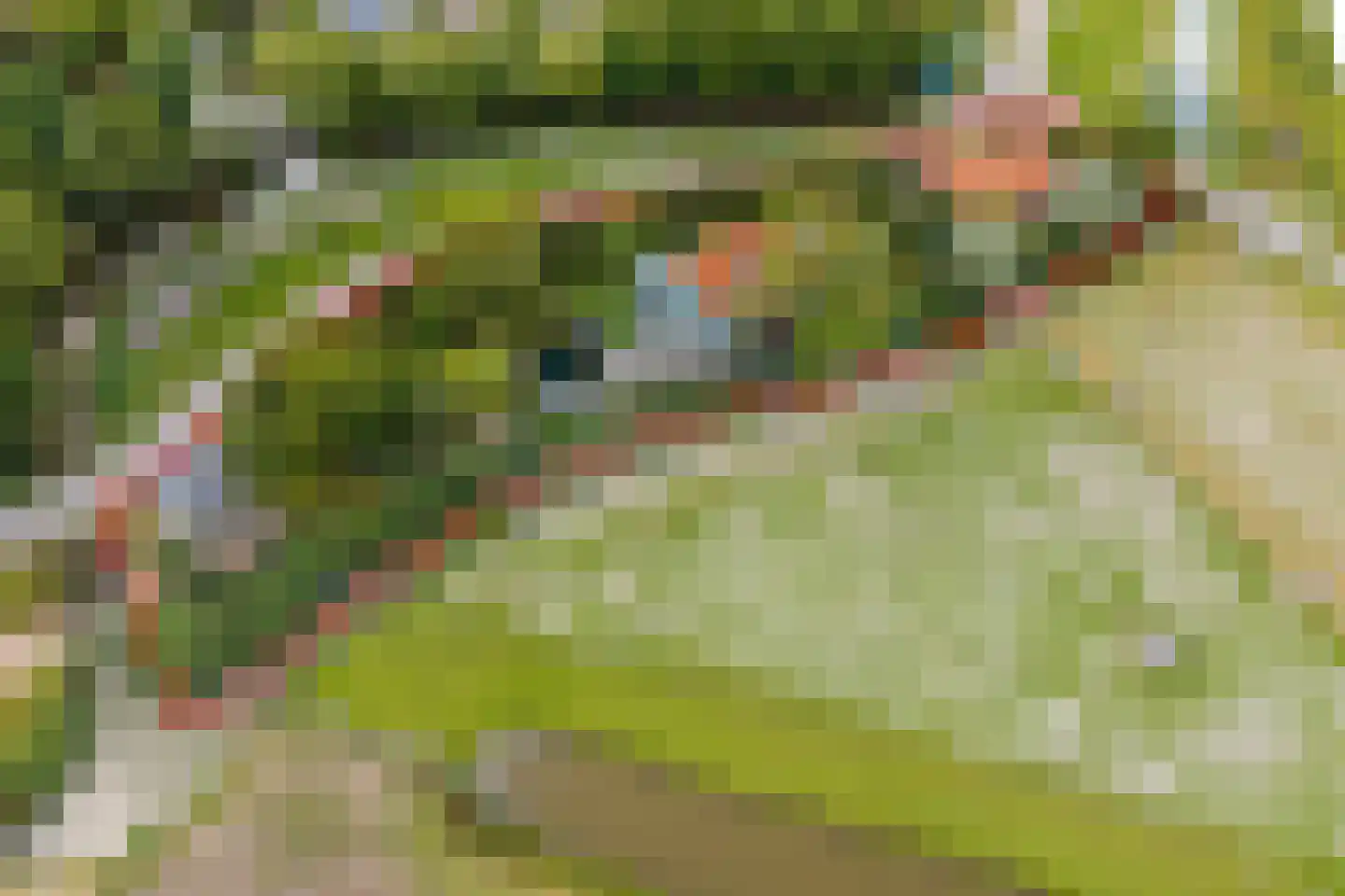 Oudedijk 8 Schagen thumbnail 5
