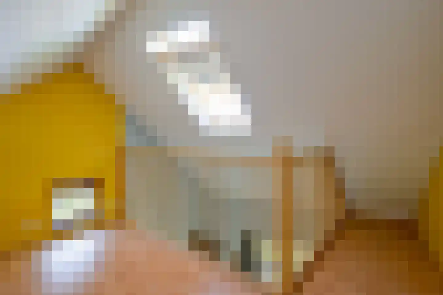 Oudedijk 8 Schagen thumbnail 52