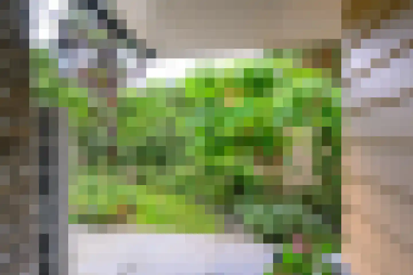 Oudedijk 8 Schagen thumbnail 57