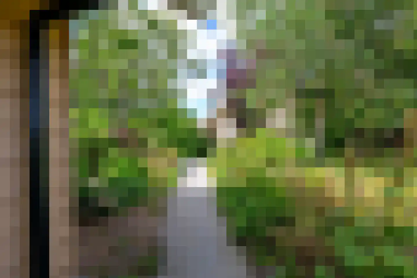 Oudedijk 8 Schagen thumbnail 58