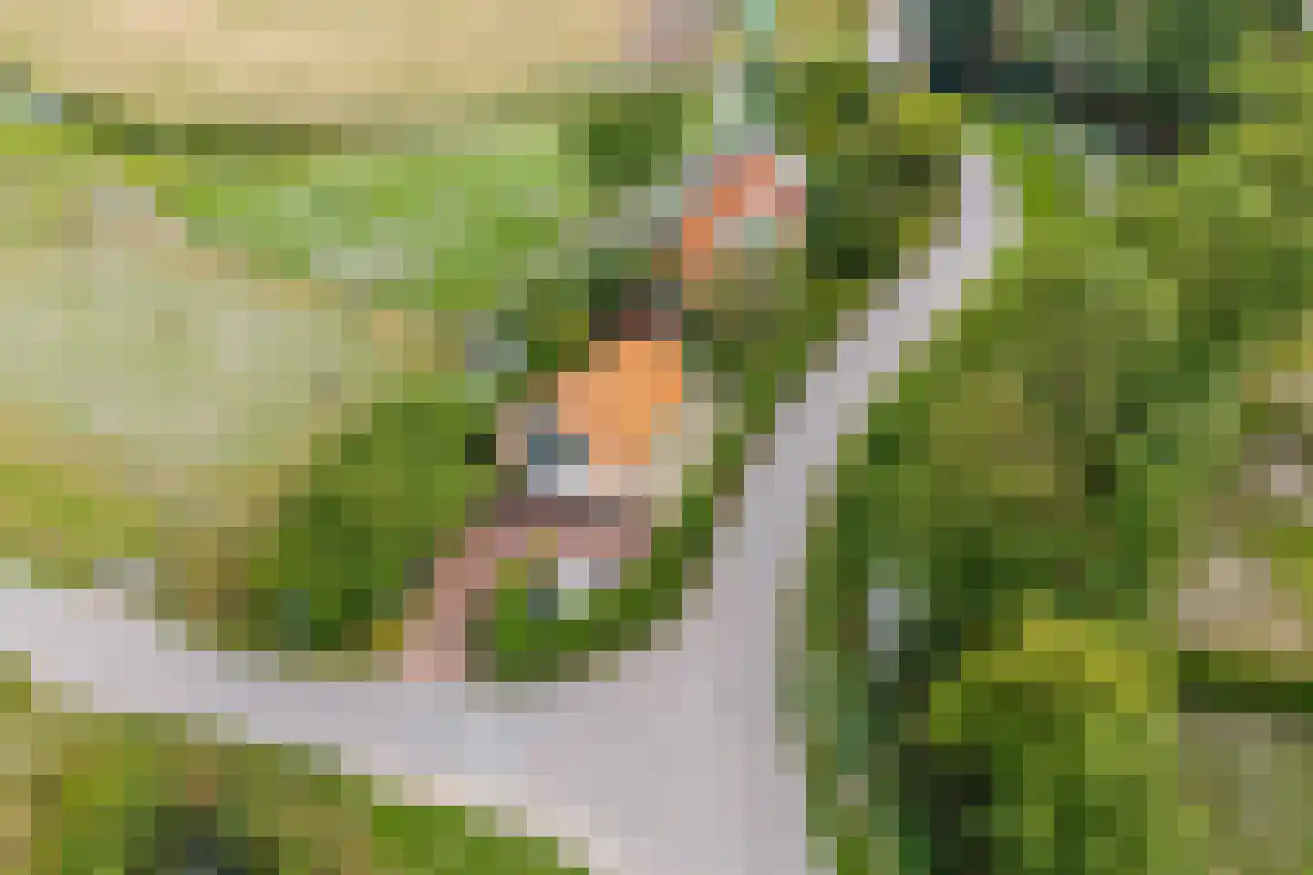 Oudedijk 8 Schagen thumbnail 6