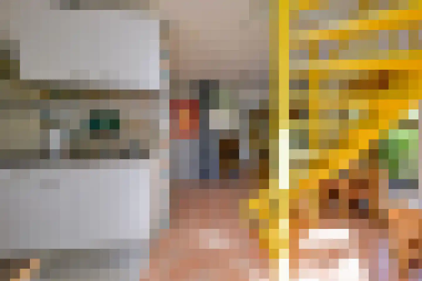 Oudedijk 8 Schagen thumbnail 60