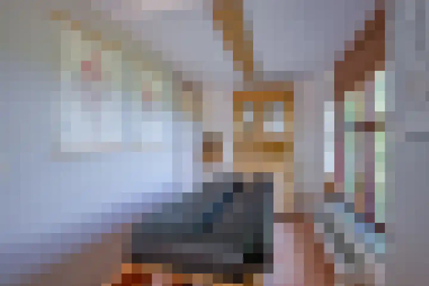 Oudedijk 8 Schagen thumbnail 62