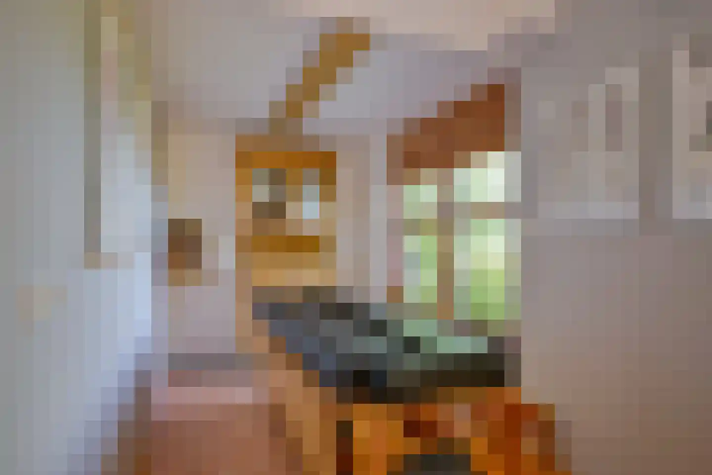 Oudedijk 8 Schagen thumbnail 63