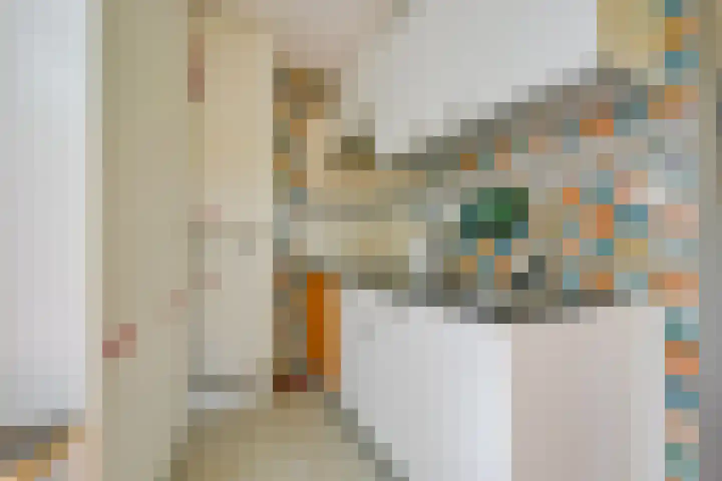 Oudedijk 8 Schagen thumbnail 67