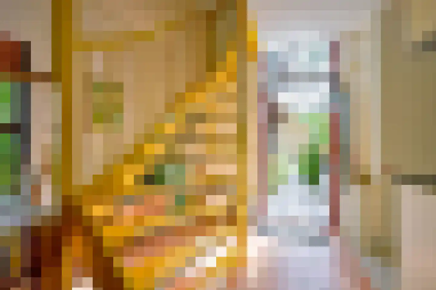 Oudedijk 8 Schagen thumbnail 71