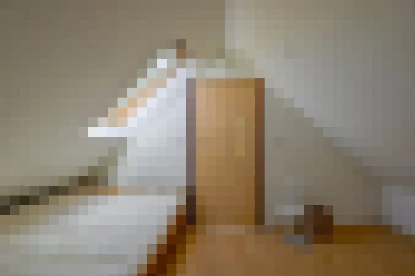 Oudedijk 8 Schagen thumbnail 78