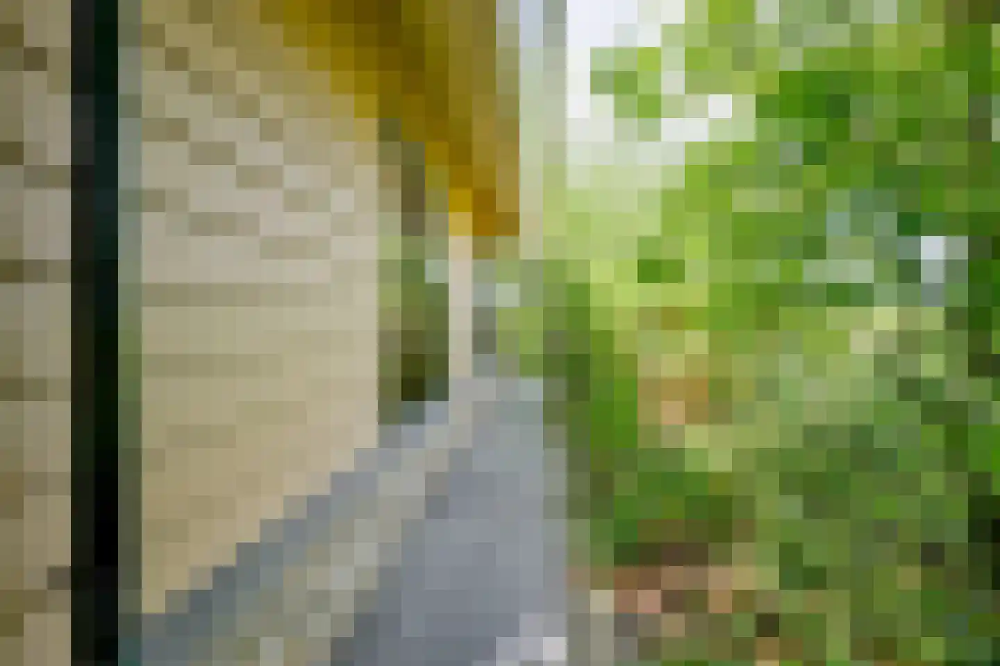 Oudedijk 8 Schagen thumbnail 81