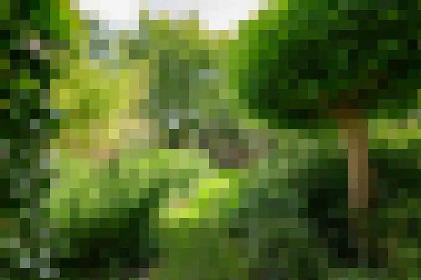 Oudedijk 8 Schagen thumbnail 82